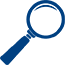 assess icon